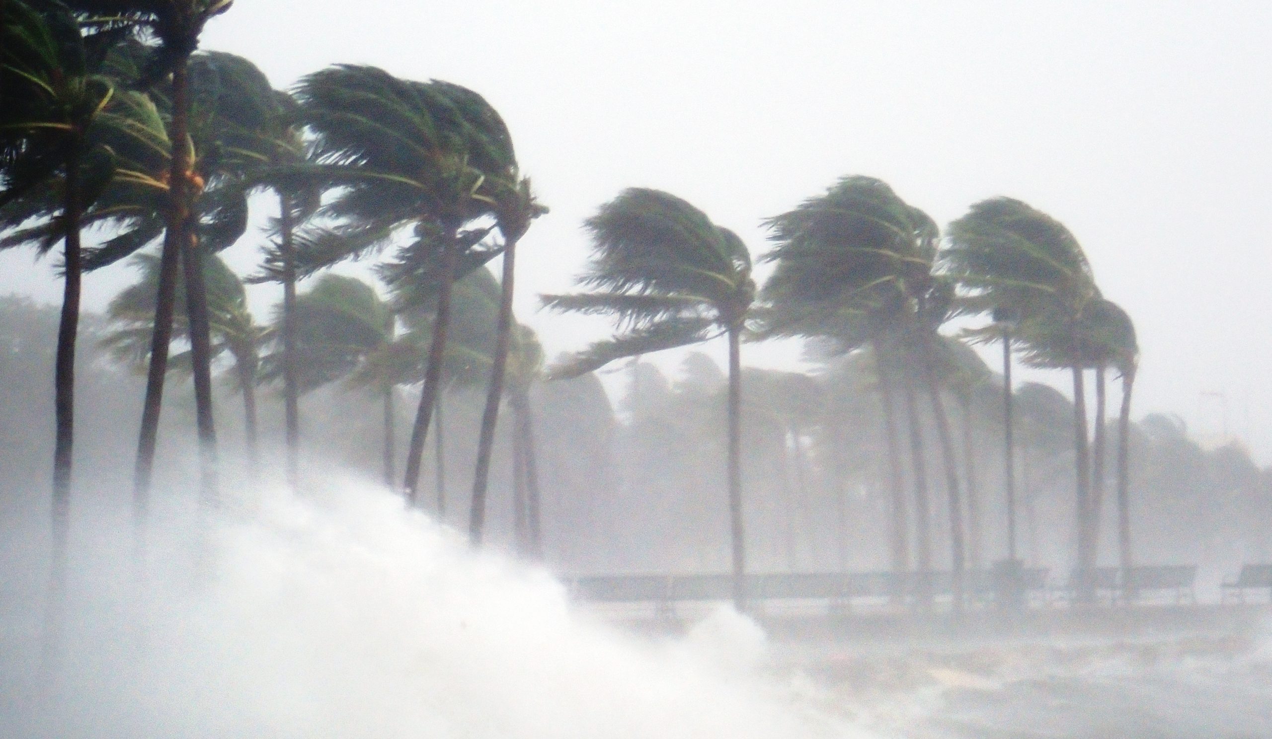 WIND DAMAGE