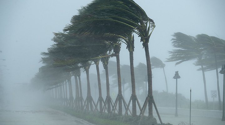 Wind Damage Claims