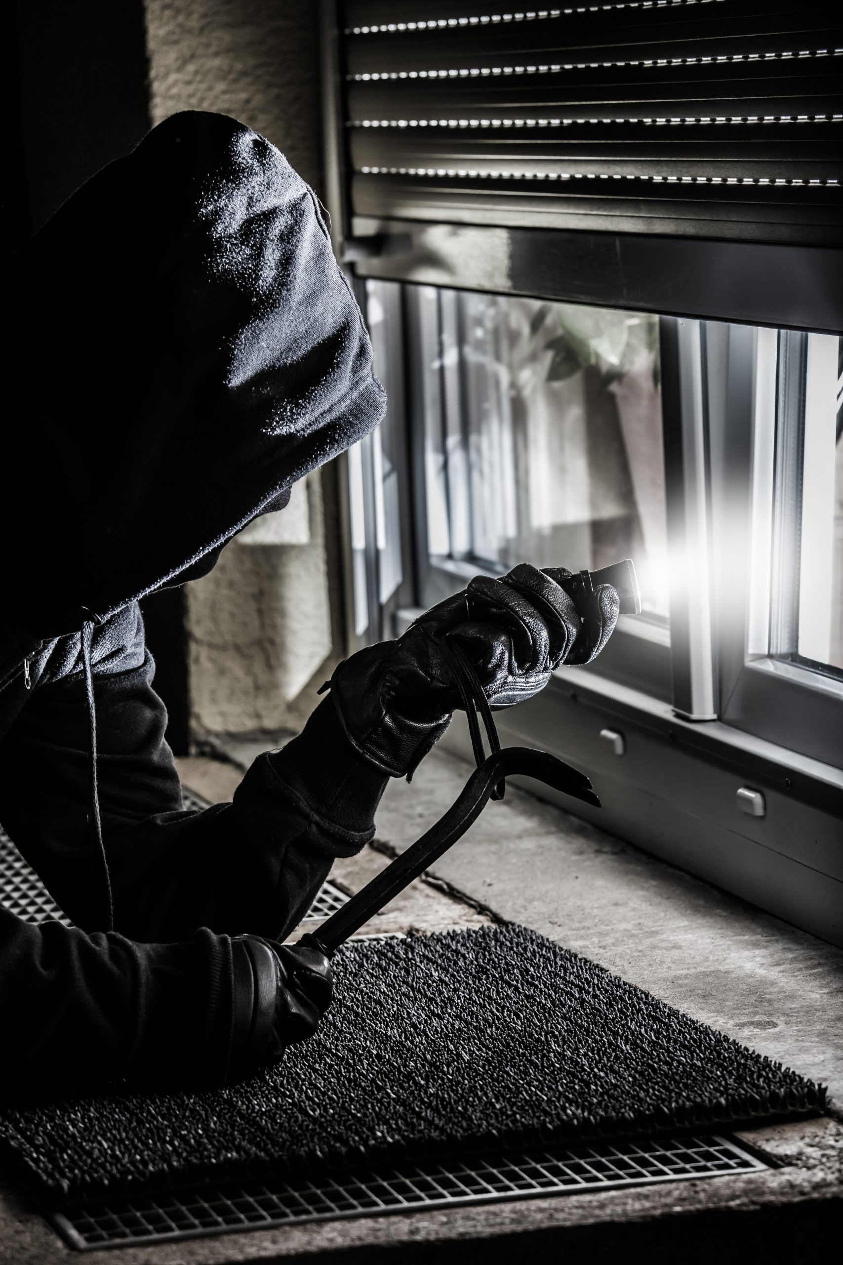 THEFT/VANDALISM
