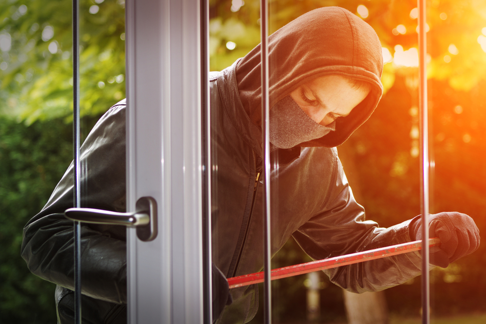 Theft / Vandalism